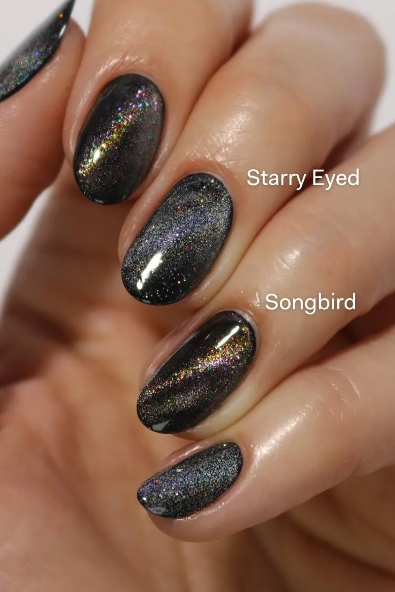 Cirque Colors Songbird topper rainbow magnet