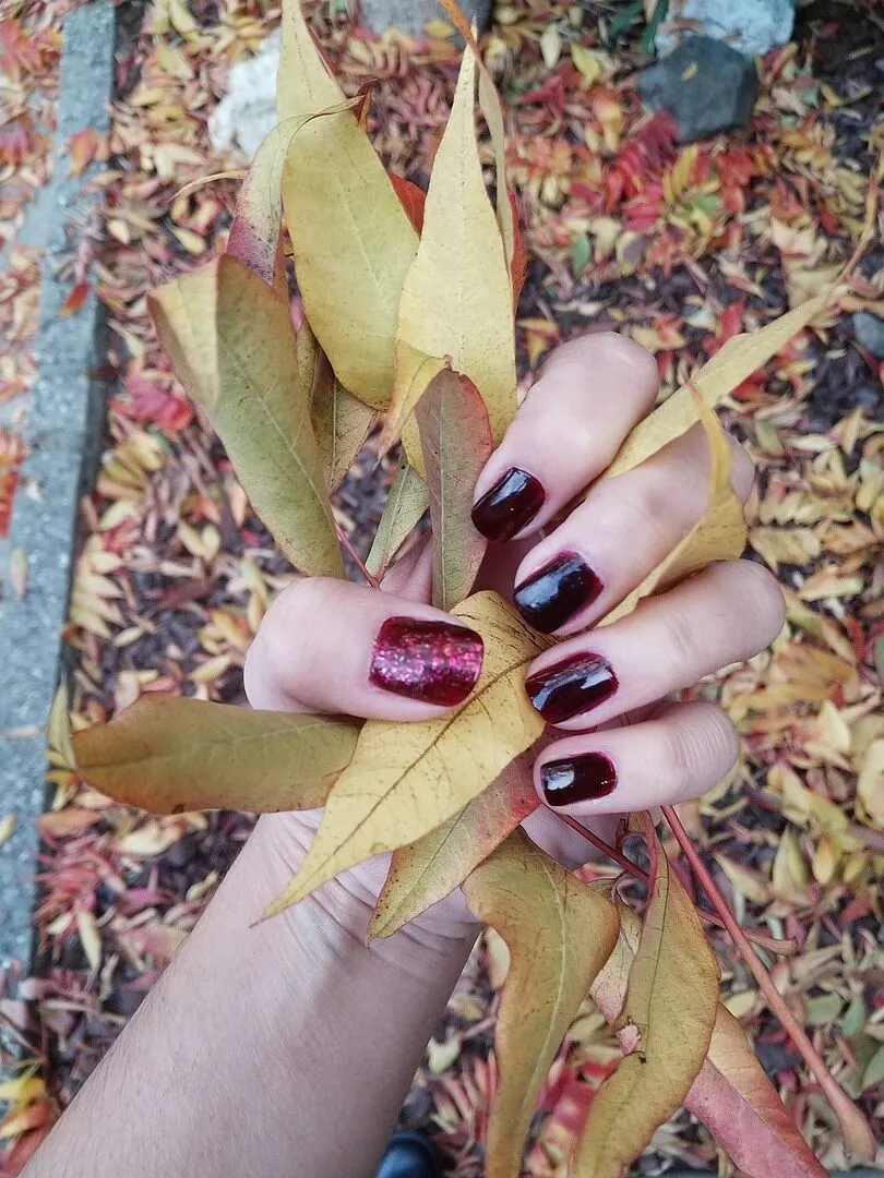 Cirque Colors Empire State of Mind nagellack oxblod