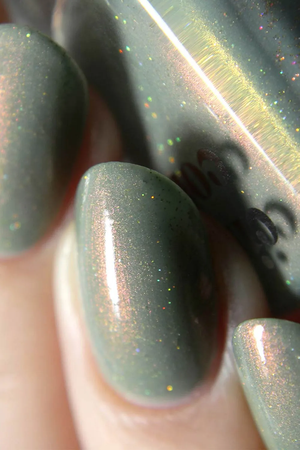 Cirque Colors Succulent Garden nagellack shimmer