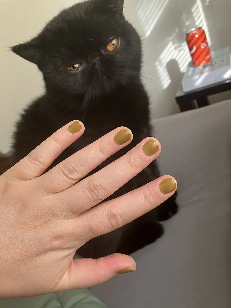 Cirque Colors Olive Jelly nagellack olivgrön jelly