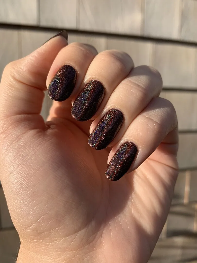 Cirque Colors Pony Up nagellack mörkbrun holografisk