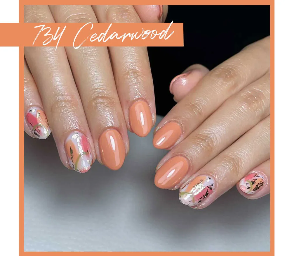 Iz Beauty Calgel Cedarwood CG734 gel 4g karamell