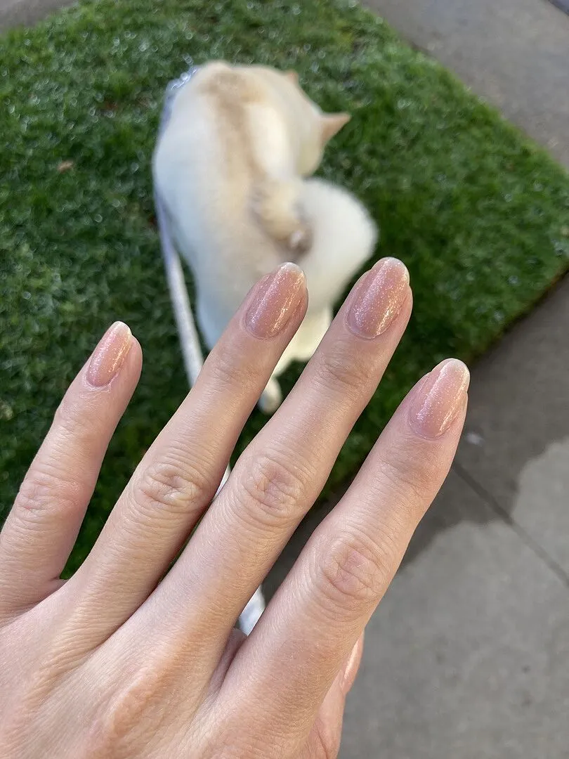 Cirque Colors Voile nagellack terrakotta rosa sheer jelly