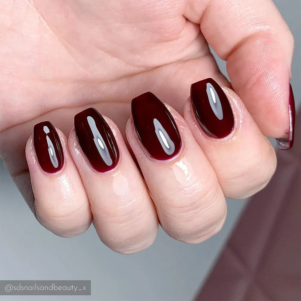 Iz Beauty PRO COLOUR Merlot IZ131 gel 15g mörkröd