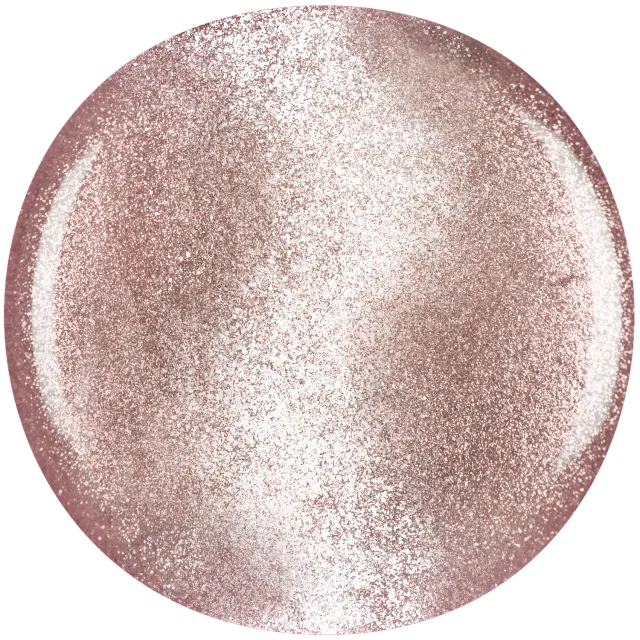 Iz Beauty Pro Colour Stellar IZ796 magnetgel 4g brons