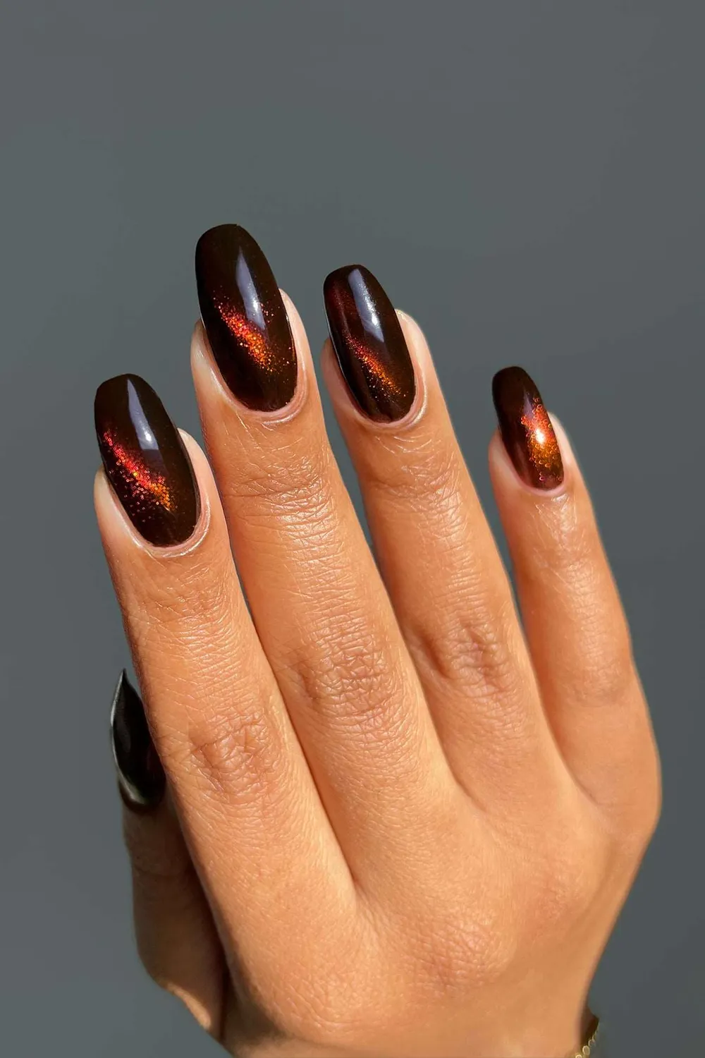 Cirque Colors Eye of the Beholder nagellack magnetisk brun