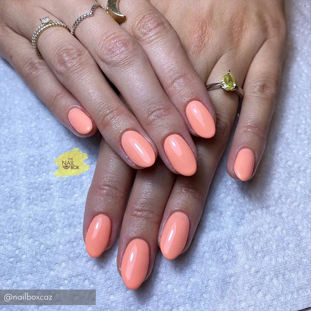 Iz Beauty Pro Colour Roller Disco IZ768 gel 4g neon
