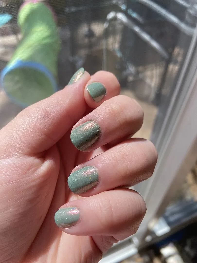 Cirque Colors Succulent Garden nagellack shimmer