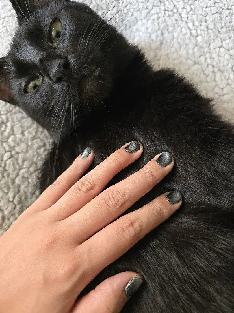 Cirque Colors Black Swan nagellack magnetisk svart