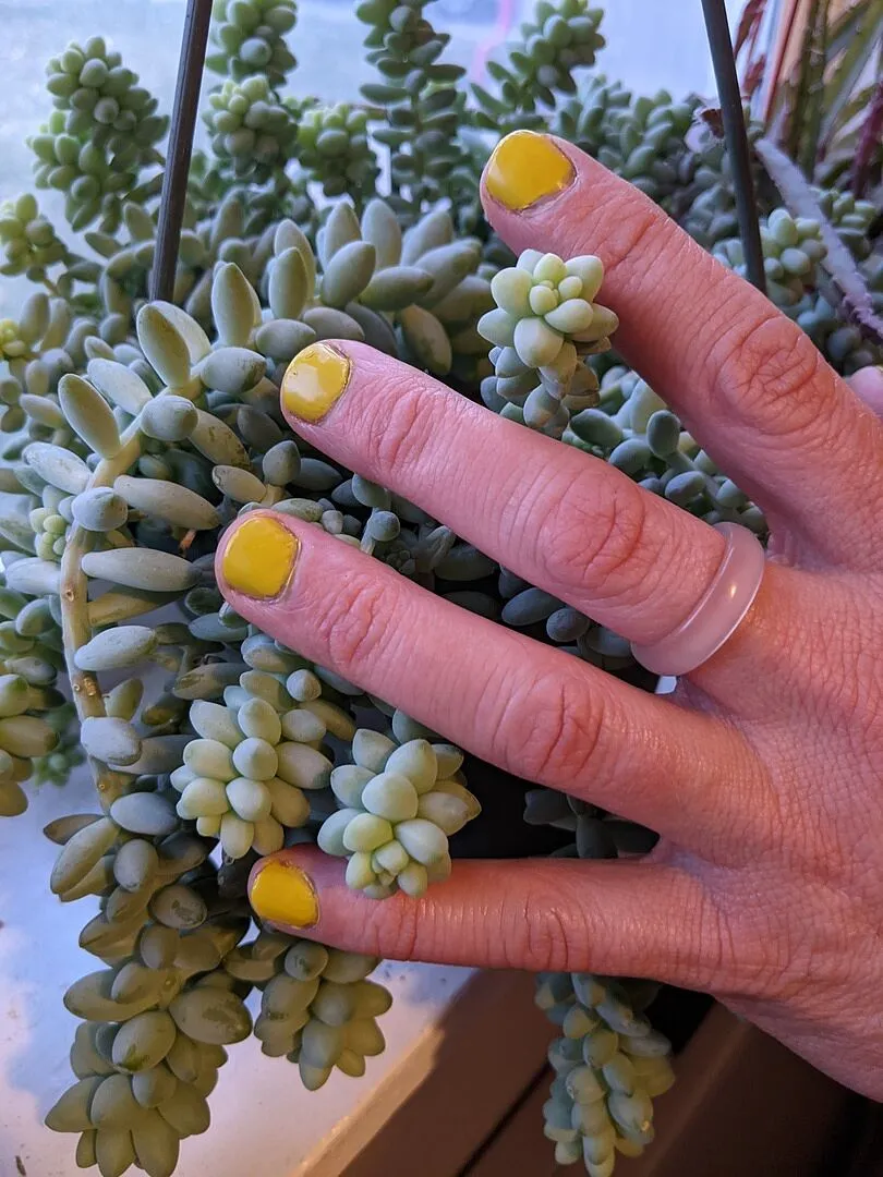 Cirque Colors Hustle nagellack chartreuse kräm