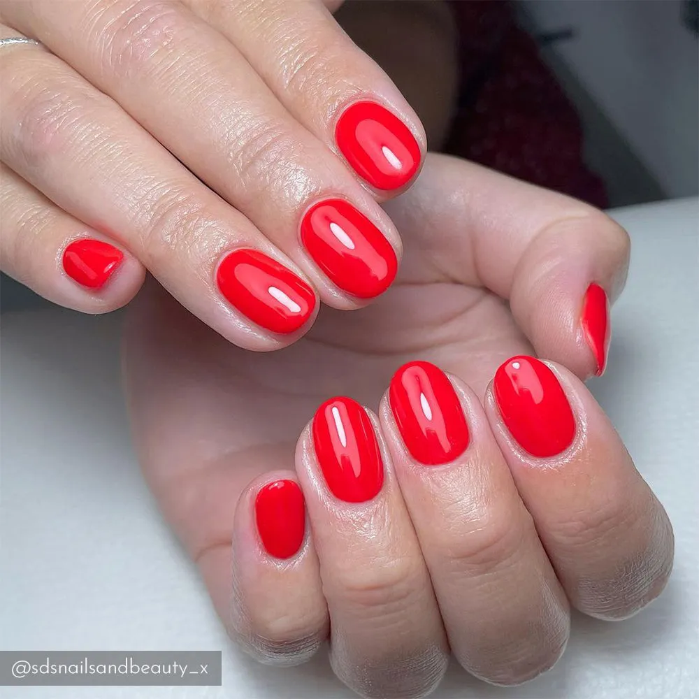 Iz Beauty Pro Colour IZ812 Hollywood & Sunset färggel 4g