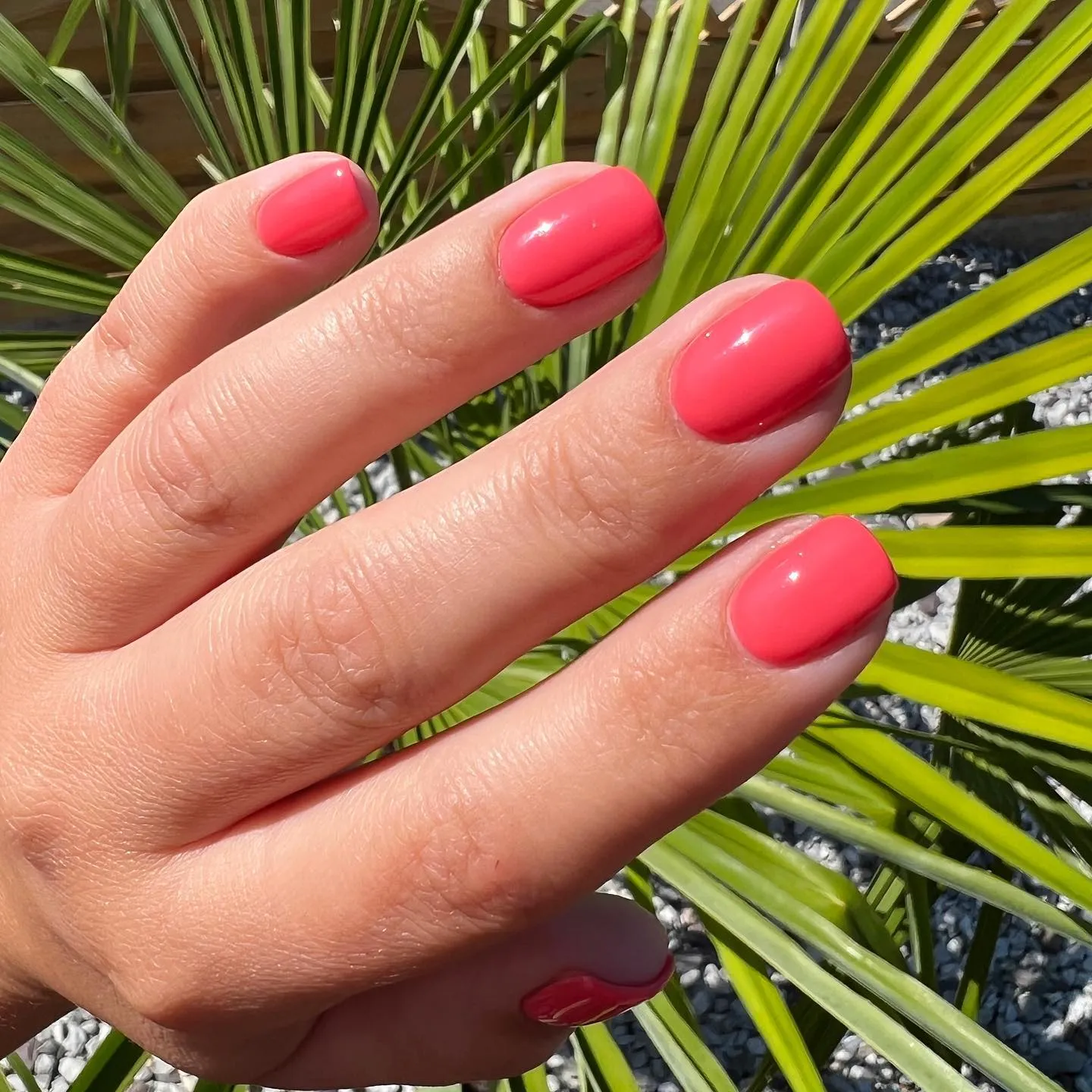 Iz Beauty Pro Colour IZ973 gellack Catch Me If You Can 4g
