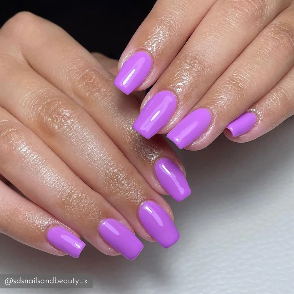 Iz Beauty Pro Colour Berry Burst IZ989 gel 4 g lila
