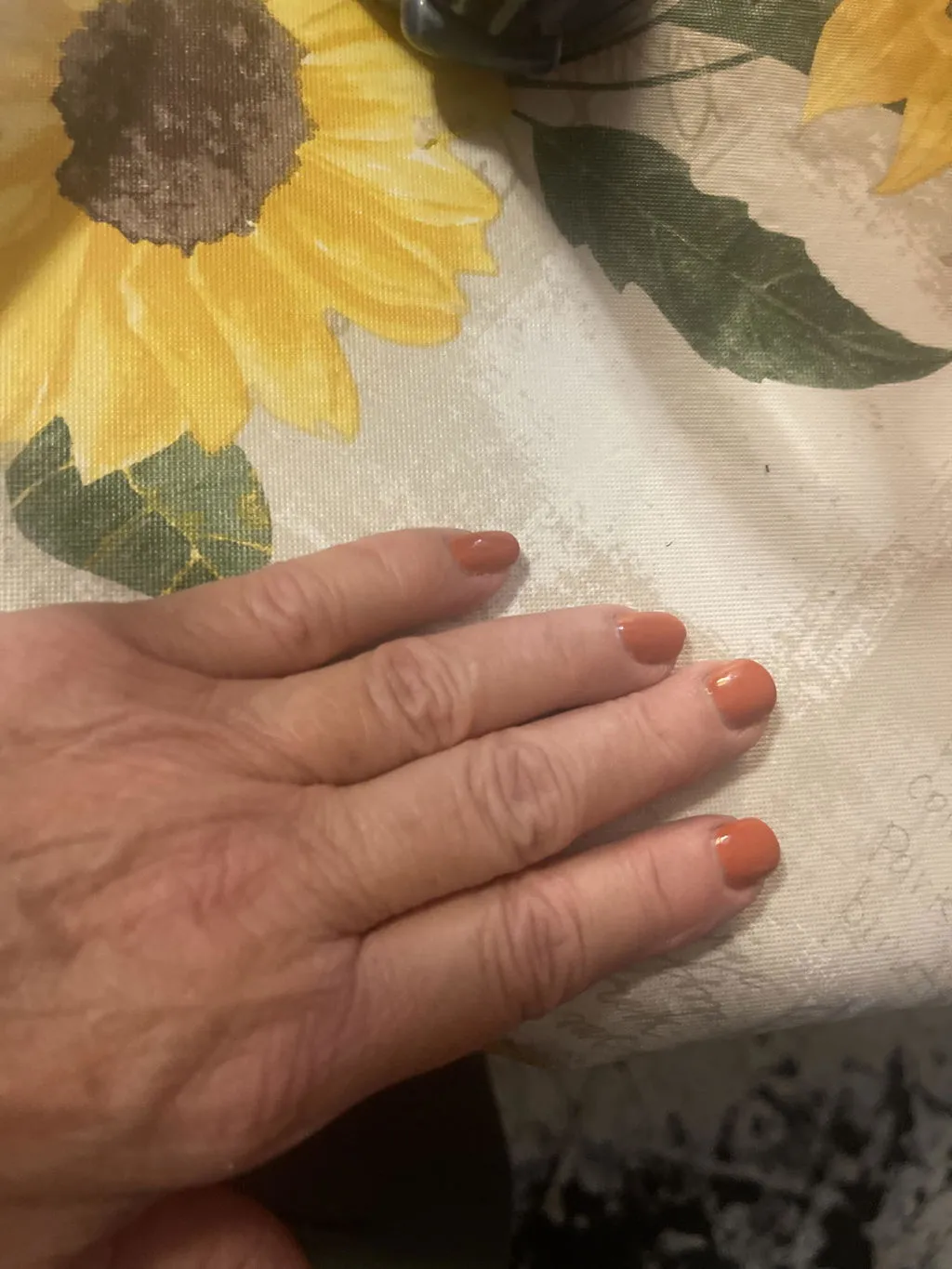 Nailberry Pumpkin Pie nagellack 14 ml terrakotta