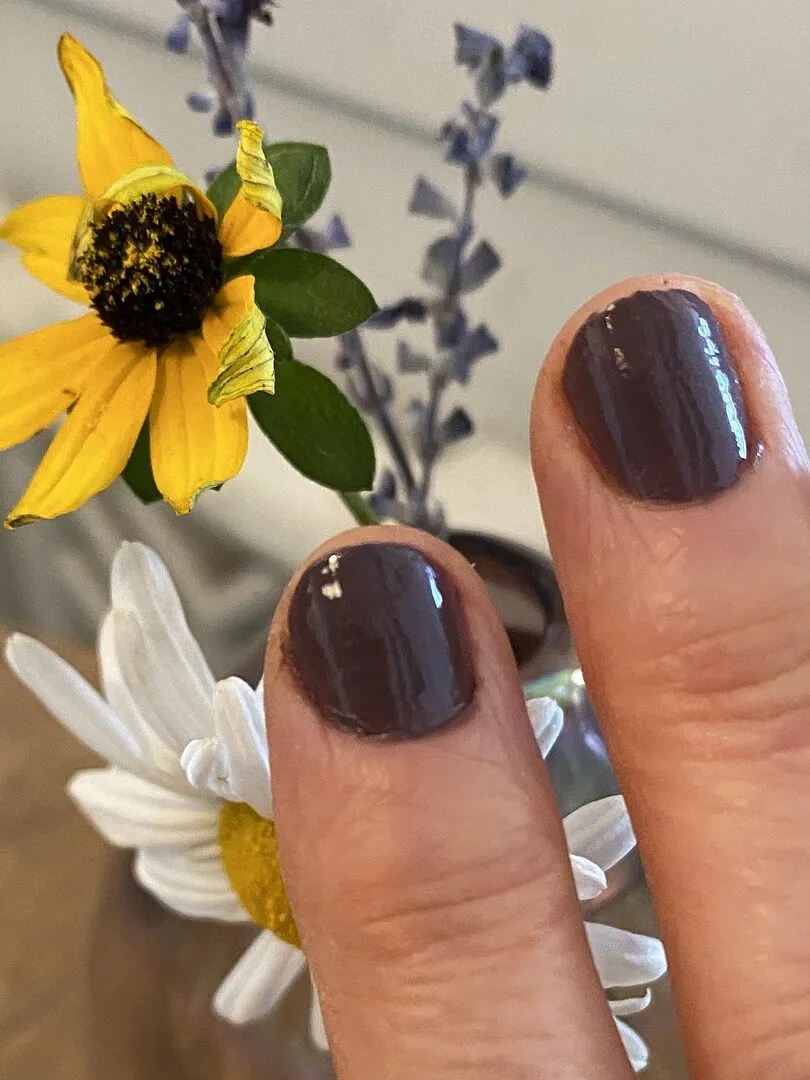 Cirque Colors Terroir nagellack mörk brunlila crème