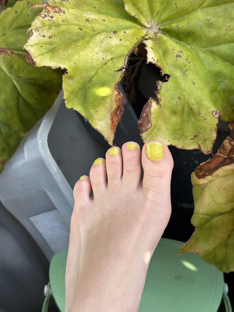 Cirque Colors Star Fruit Jelly nagellack chartreuse jelly
