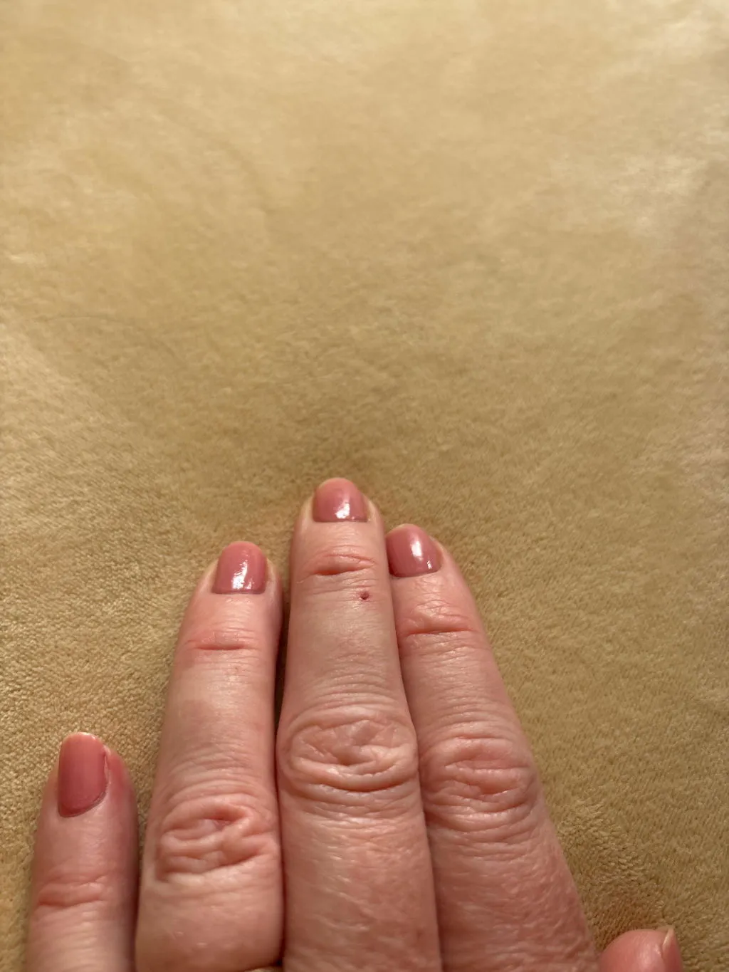 Nailberry Elegance nagellack 14 ml ljusrosa sheer