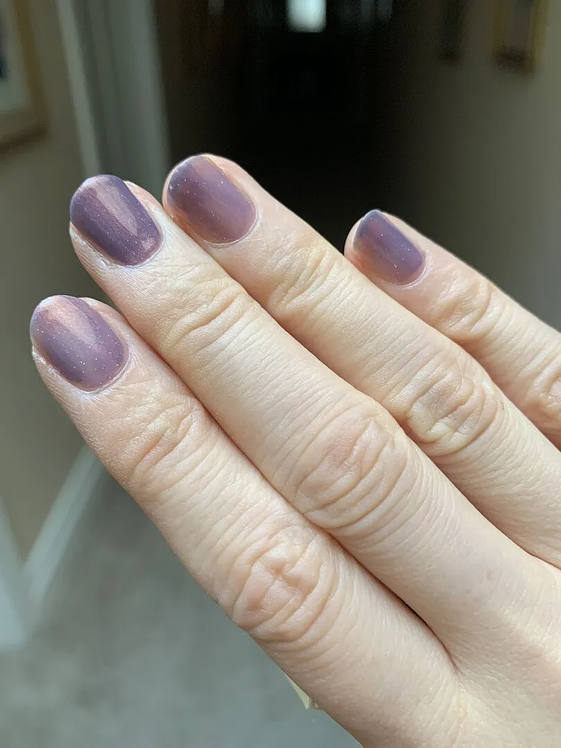 Cirque Colors Wildflowers nagellack lila shimmer