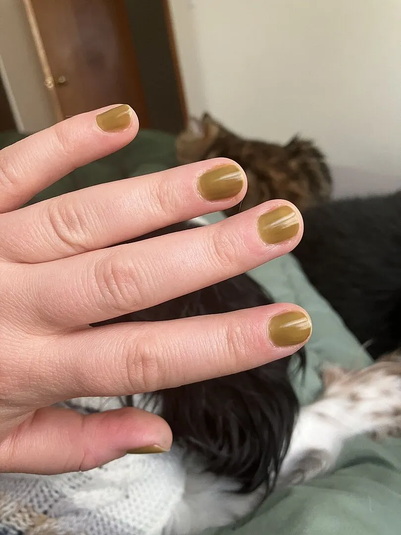 Cirque Colors Olive Jelly nagellack olivgrön jelly