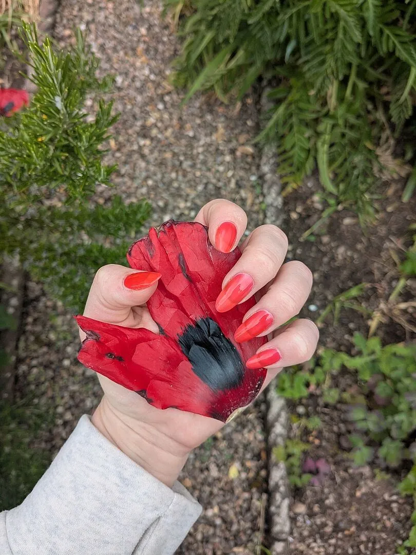 Cirque Colors Poppy Jelly nagellack röd jelly glans