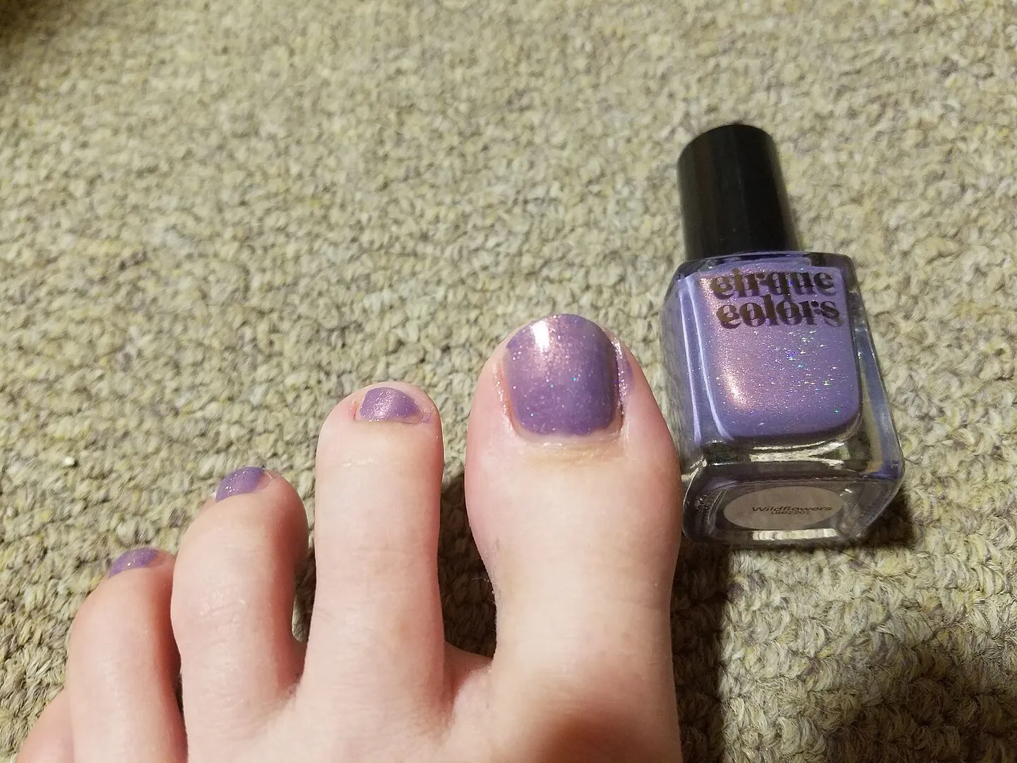 Cirque Colors Wildflowers nagellack lila shimmer