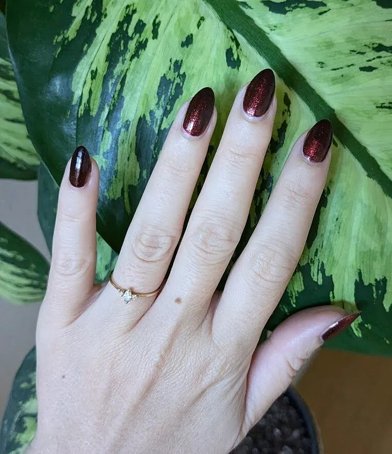 Cirque Colors Eye of the Beholder nagellack magnetisk brun