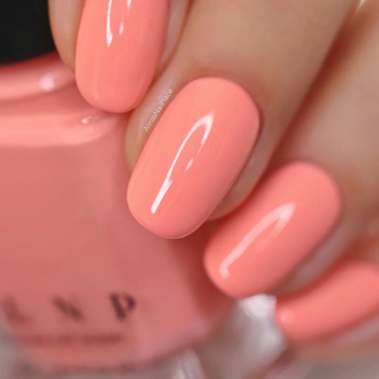 ILNP Tropics Hailey nagellack hibiskusrosa holographic