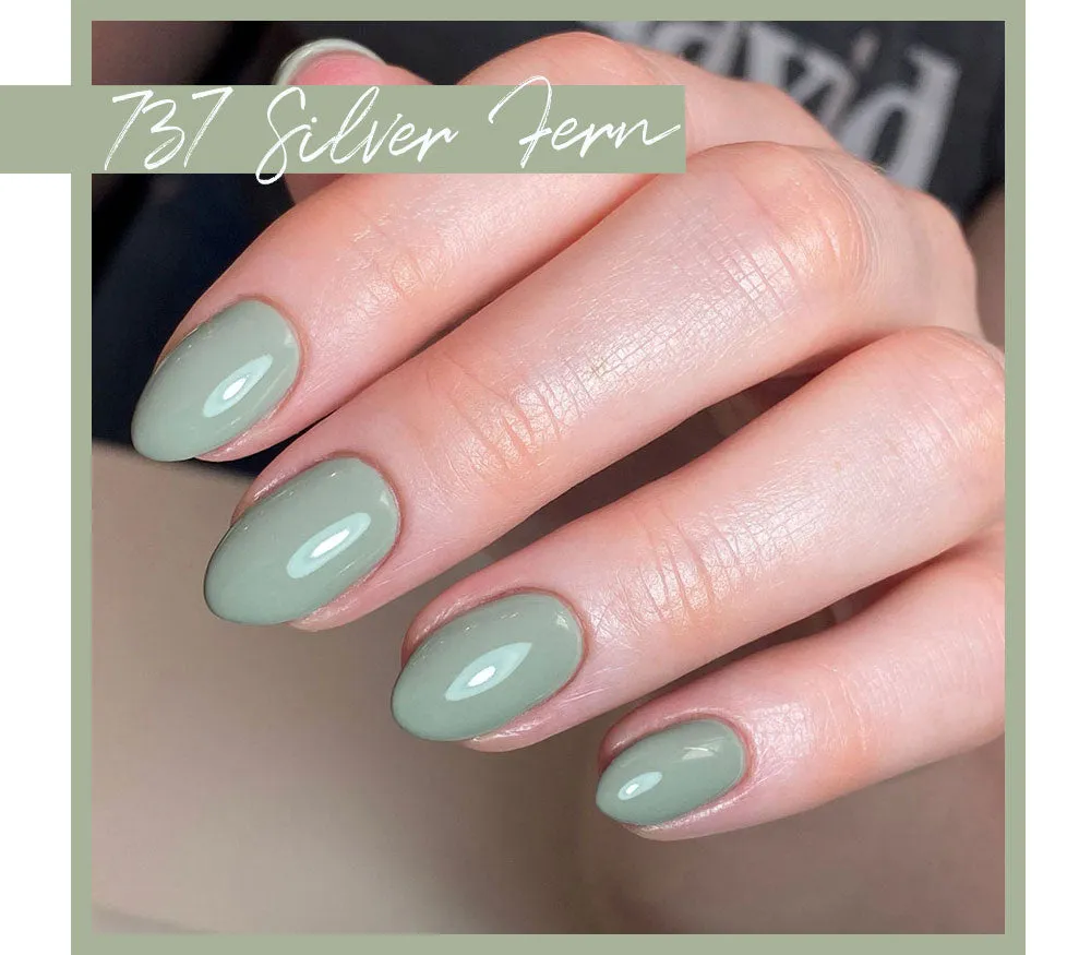 Iz Beauty Pro Colour Silver Fern IZ737 gel 4g salviagrå