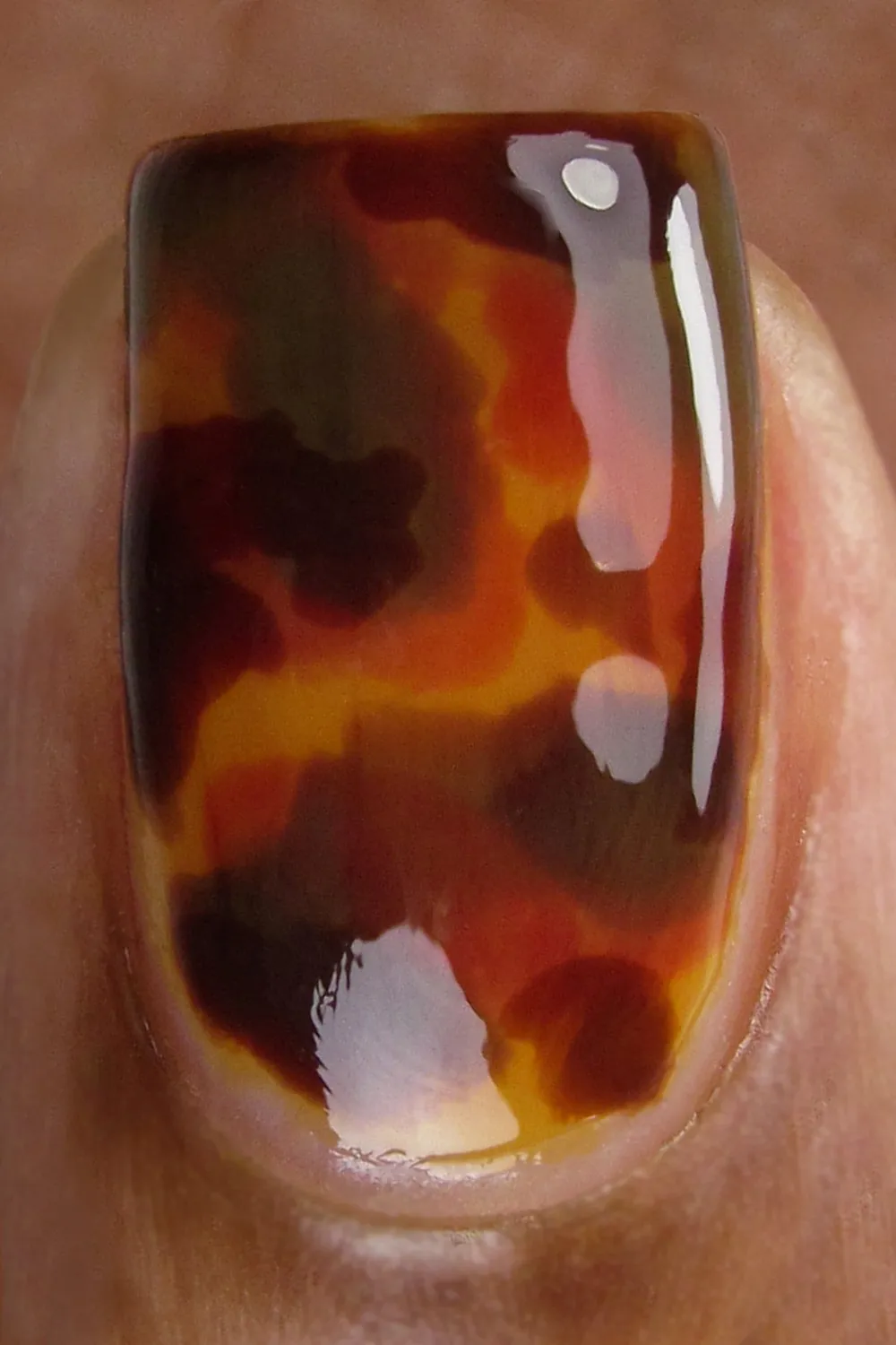 Cirque Colors Tortoiseshell nagelkit jelly 3-pack