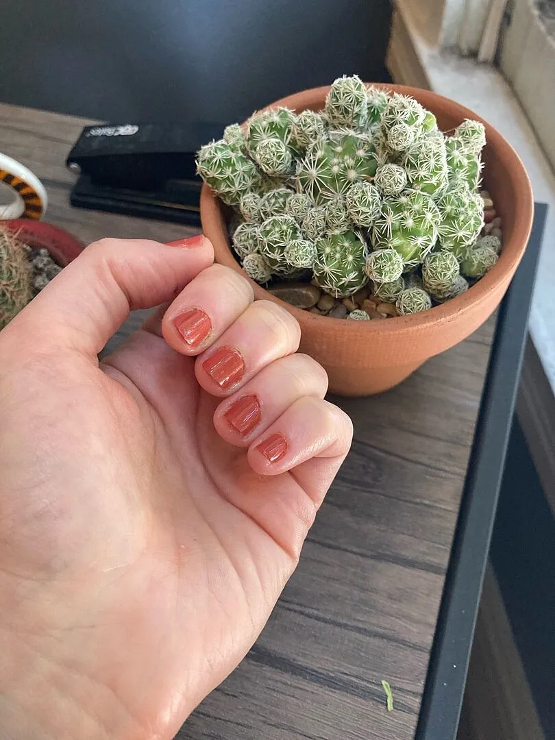 Cirque Colors Bowery nagellack – bränd orange kräm