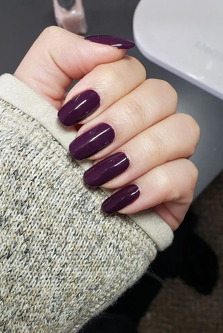 Cirque Colors La Vie Boheme nagellack mörklila crème
