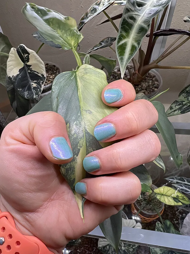 Cirque Colors Paradiso nagellack mintgrön shimmer
