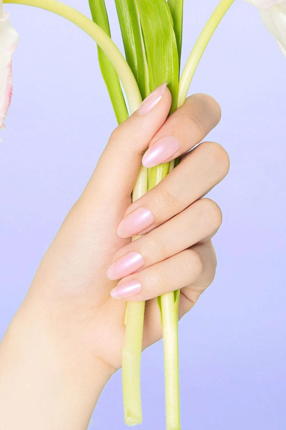 Cirque Colors Ghost Rose nagellack ljusrosa skimmer
